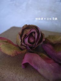 この瞬間が・・・ 2013/02/11 23:06:43