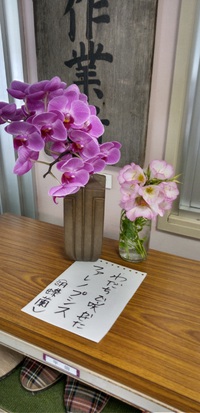 胡蝶蘭!