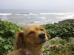 久しぶりの海☆