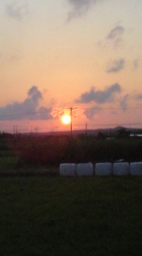 夕陽〜 2009/05/17 01:04:11