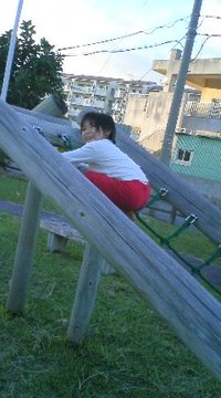 すごい(笑) 2009/11/08 17:42:42