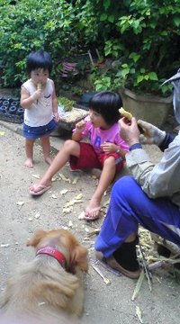 原始人!?(笑) 2010/08/20 16:33:27