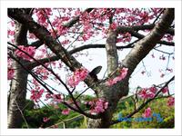 一分・・・二分・・・ 2011/01/17 07:10:37