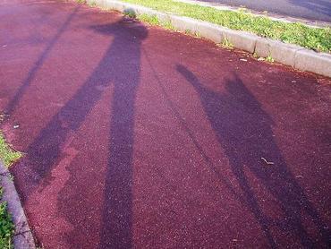 雨上がりのあと