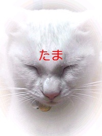 寒いけど幸せ 2011/03/24 00:03:34