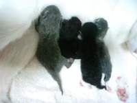 ２日遅れの筋肉痛 2011/03/21 06:40:53