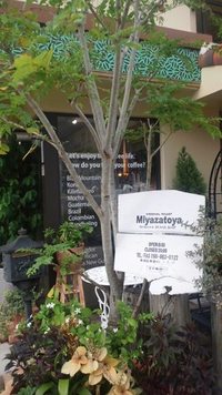 cafe宮里屋サン☆彡 2011/09/25 21:58:37