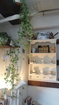 cafe宮里屋サン☆彡