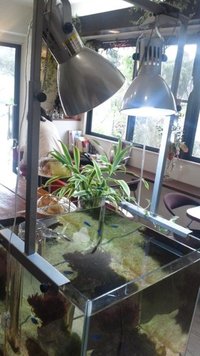 cafe宮里屋サン☆彡