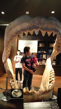 美海水族館に行ってきました♪))