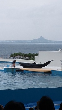 美海水族館に行ってきました♪))