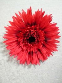 ★NEW★NEW★Flower★NEW★NEW★