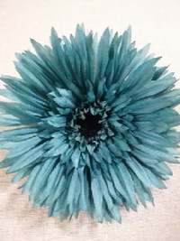 ★NEW★NEW★Flower★NEW★NEW★