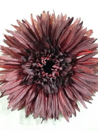 ★NEW★NEW★Flower★NEW★NEW★