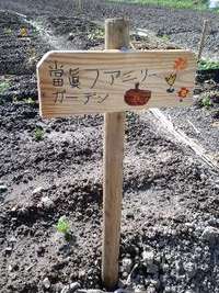 今日の菜園♪ 2009/12/08 15:15:01