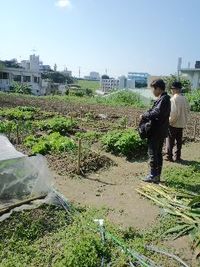 今日の家庭菜園♪ 2010/01/09 15:51:52