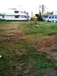 朝の畑は、気持ちいい 2010/09/25 07:02:22