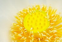 今日から♡ 2008/08/05 16:21:25
