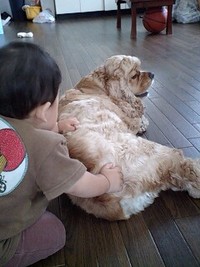 うっとり 2007/06/11 11:12:55