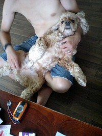 今日の 2007/06/21 00:57:32