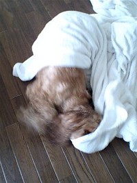 久しぶりに