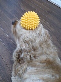 興奮 2007/06/17 23:35:04