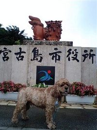 ちょうどいい？
