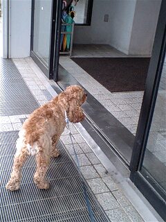 ちょうどいい？