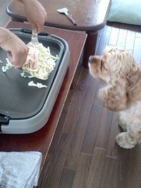 がまん、がまん・・・ 2007/06/25 18:16:11