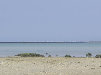 泡瀬干潟写真館2007/5/27