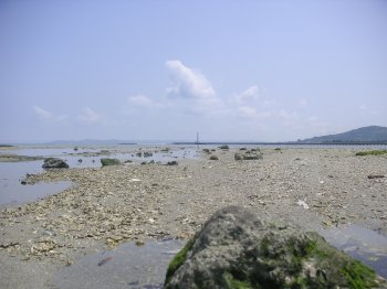 泡瀬干潟写真館2007/5/27