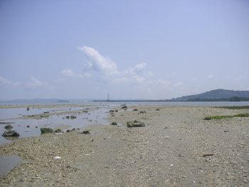 泡瀬干潟写真館2007/5/27