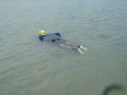 泡瀬沖の水中