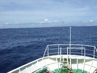 ウミガメに会う in 渡嘉敷島 2008/08/05 10:09:24