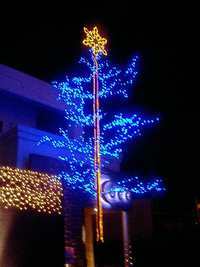 メリークリスマス 2005/12/25 09:26:34