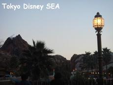 東京ディズニーシー