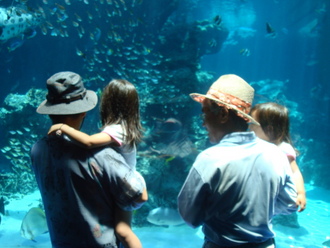 美ら海水族館　**