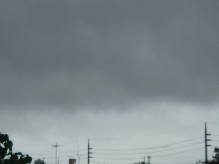 『Liniere.』　**