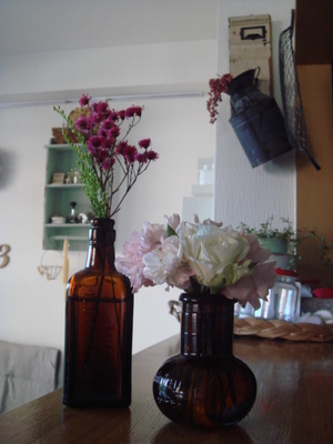 ｐｌａｎｔ　ａｎｄ　ｆｌｏｗｅｒ
