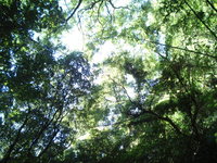 継続は力なのか？ 2007/11/01 08:55:06
