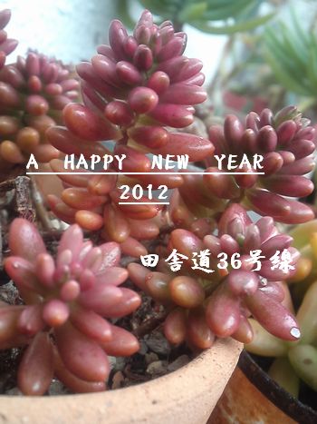 10日経ちましたが・・・