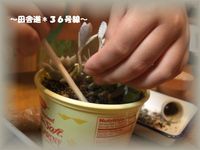 多肉教室 ～part2～