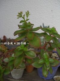 再チャレンジ。 2012/02/21 23:52:23