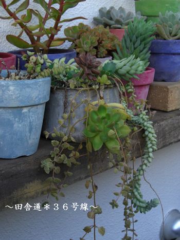 年月が過ぎて・・・