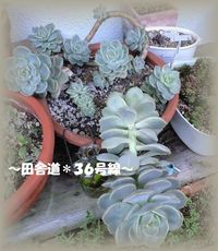 すてないでねぇ。。。