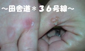 実家敷地（車庫）＃01