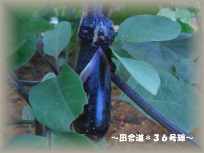 そろそろ（＾＾）