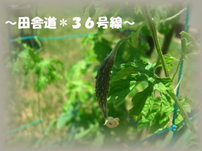 豊作!?（＾＾）