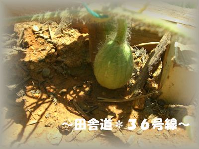 初めて。。。