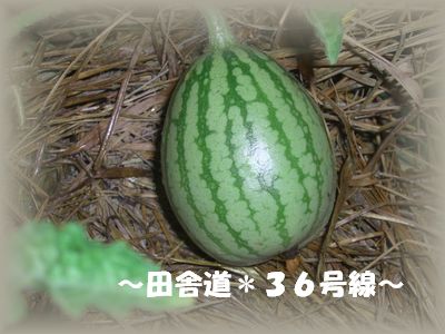 初めて。。。